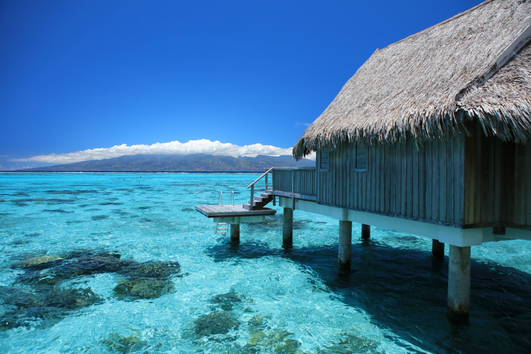 bungalow-superieur-horizon-pilotis