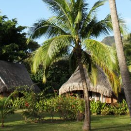 Luxury Garden Bungalows