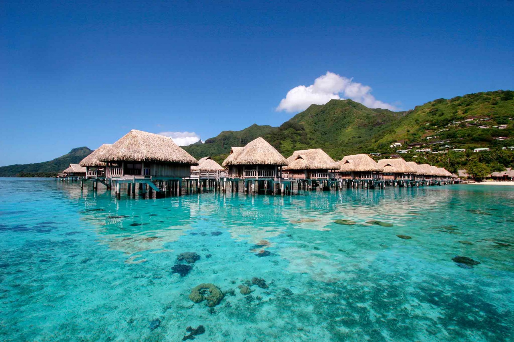 superior-overwater-bungalow