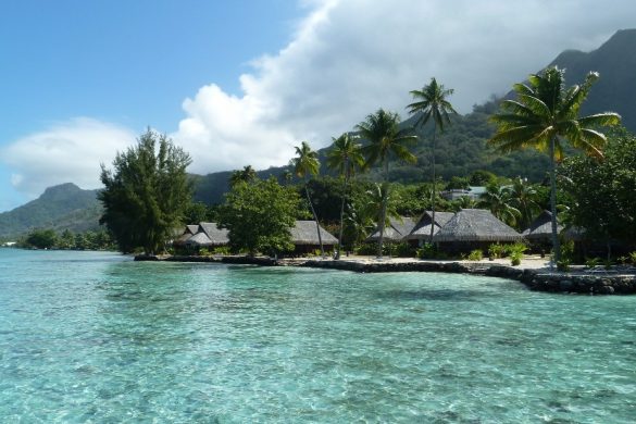 superior-ocean-view-bungalow