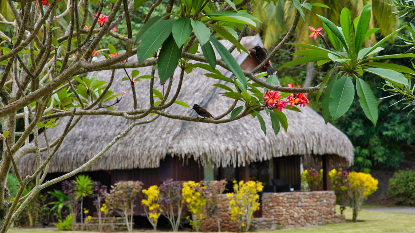 luxury-garden-villa