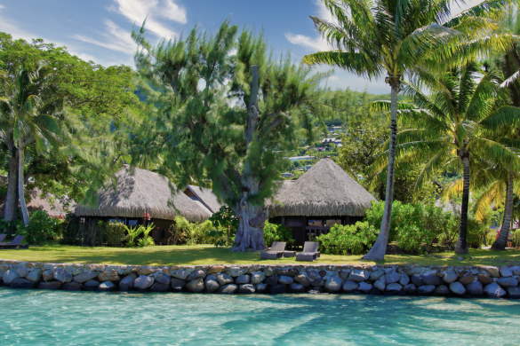 superior-ocean-view-bungalow