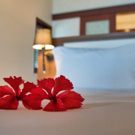 Flowers on bed Bedroom Luxury Overwater Horizon landscape x jpeg