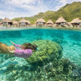 Snorkeling Sofitel Moorea 
