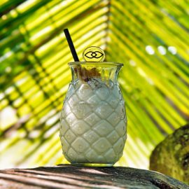 Tropical Cocktail Landscape